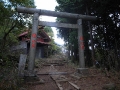 大きな鳥居