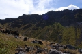g0011754