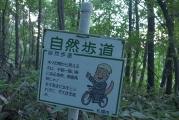 案内標識
