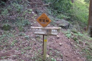 rim0021