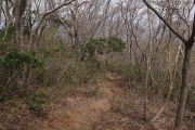 rim0050