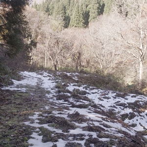 雪が残っていた