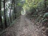 柔らかな地道