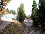 河野メリクロン農場