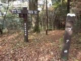 ブナ峠