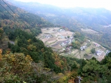 集落