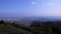 p1000018