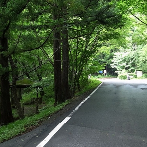 2.5km程登って行く