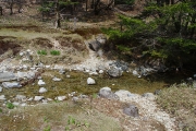 小川を渡渉