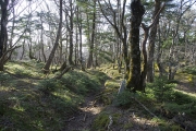 心地良い尾根道