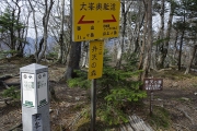 弁天の森