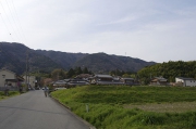 緩やかな山道を登って行く