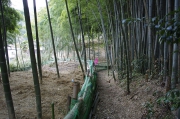 農作業道を辿って十輪寺へ