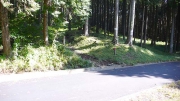 何度か林道を跨ぐ