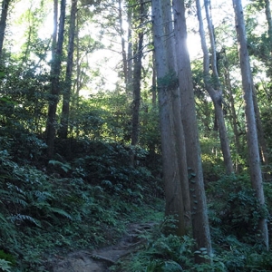 周囲が明るくなってきた