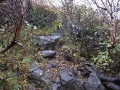 登山道