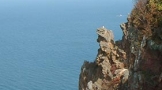 Clif03.jpg