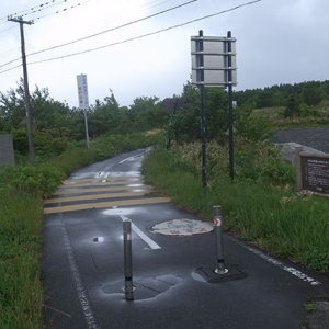 サイクリング道路を鳥見散歩