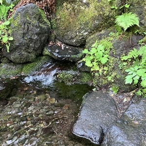 甘露泉水