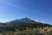 沼の上空