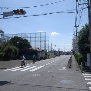たまご街道