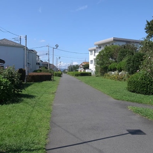 横浜水道道
