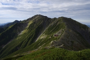 _PK52825