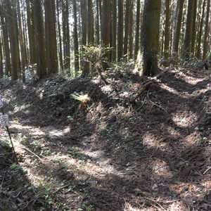 瀬田ルートへの分岐地点
