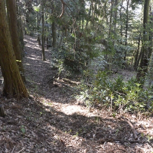 瀬田ルート