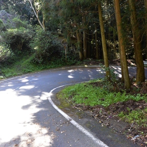 再び遍路道へ