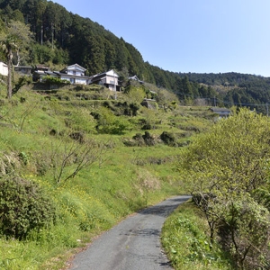 日差しが心地よい