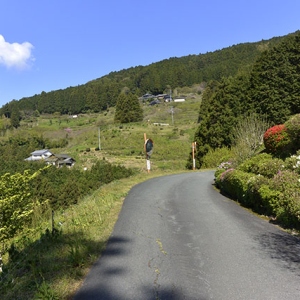 歩いてきた道を振り返る