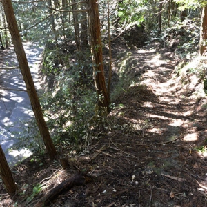 舗装道路に合流