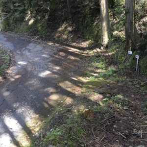 最初の遍路道の入り口