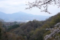 大山