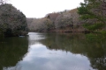 震生湖