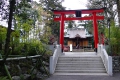 白笹稲荷神社