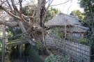 ShigitatuAn01.jpg
