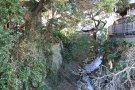 ShigitatuSawa01.jpg