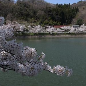 茶屋沼公園