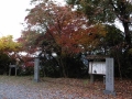 ひっそりとした参道                                           