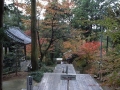 白峯寺の境内                                                         