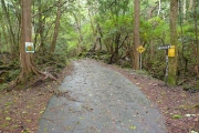 東海自然歩道交差