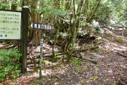 登山道の標識