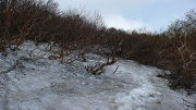 登山道はまだ雪の下