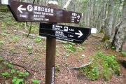 富士箱根トレイルで下山