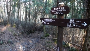 未舗装の南山林道