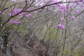 p1010455