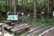 林道を離れ山道へ