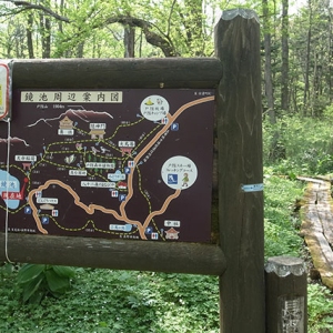 鏡池の周回コース